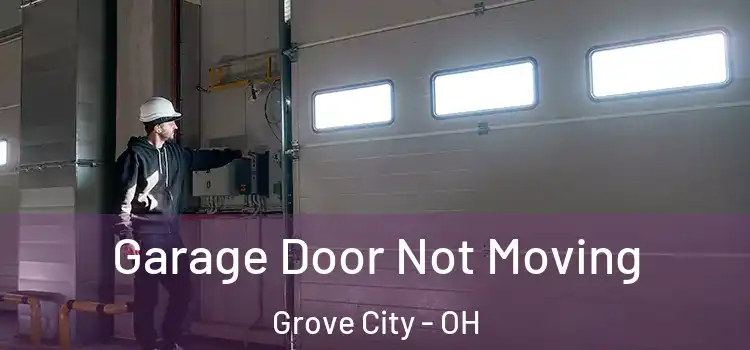  Garage Door Not Moving Grove City - OH