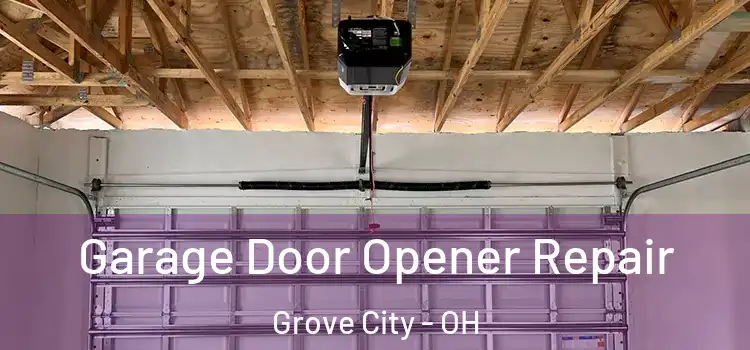  Garage Door Opener Repair Grove City - OH