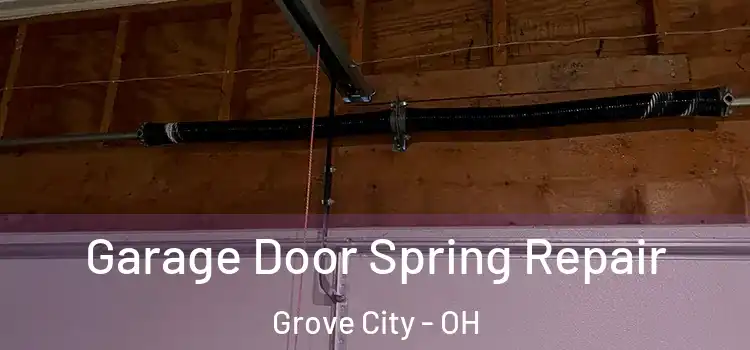  Garage Door Spring Repair Grove City - OH