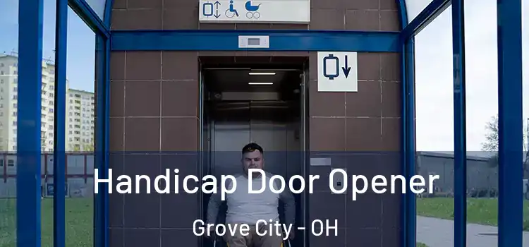  Handicap Door Opener Grove City - OH