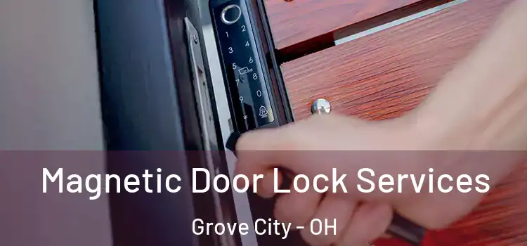 Magnetic Door Lock Services Grove City - OH